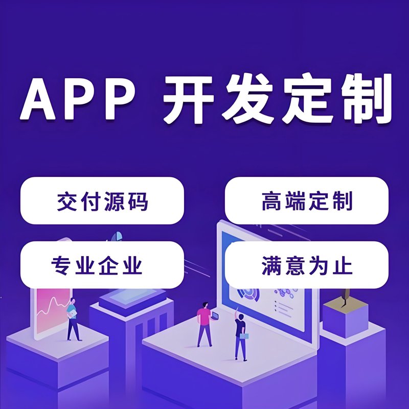 重庆轻帆云软件科技：市场前景与竞争对手分析
