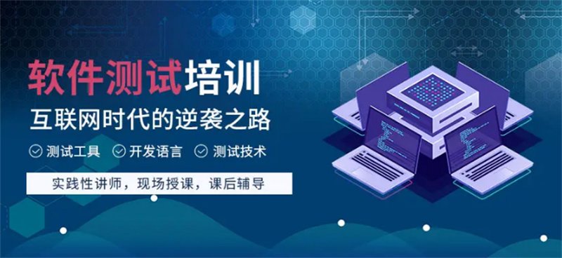 软件科技公司的成长路径：从初创到卓越
